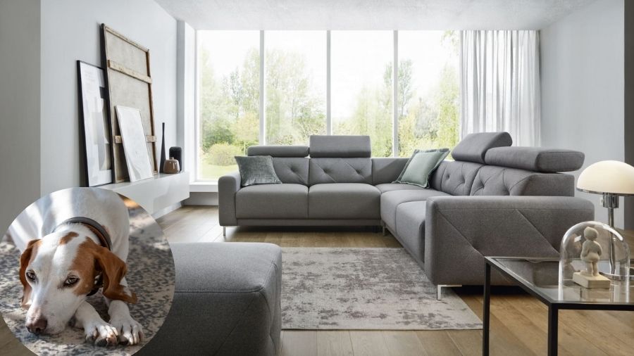 Dywan w salonie z dziećmi i zwierzętami – jakie materiały mają sens Dywan Carper Decor z kolekcji Magic Home